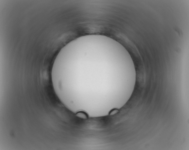 X0000114240516200910231527