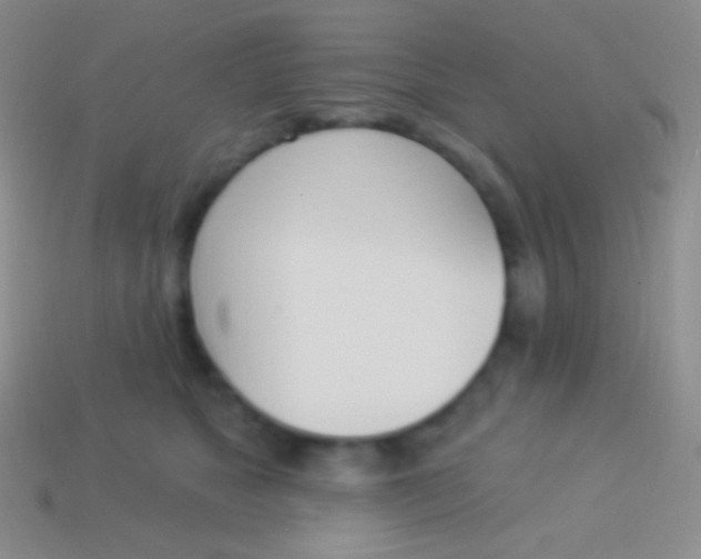 X0000114240517200910231527