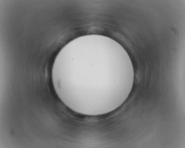 X0000114240520200910231527