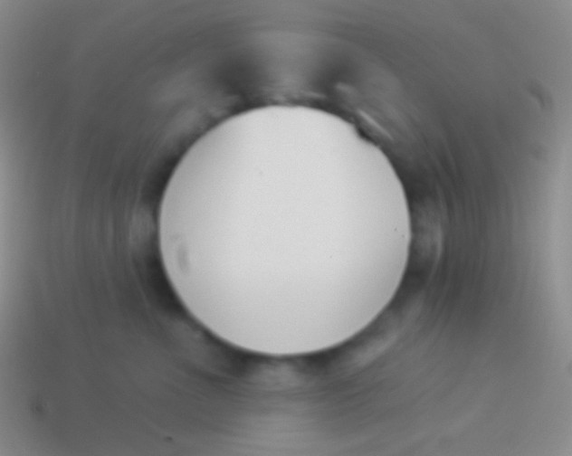 X0000114240523200910231526