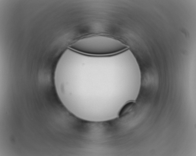 X0000114240524200910231526