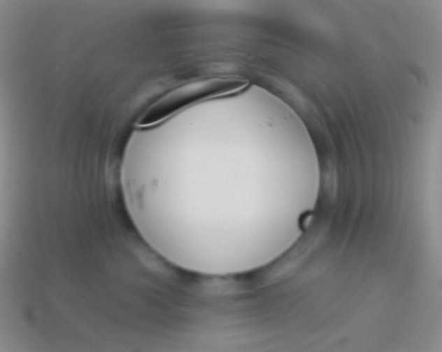 X0000114240525200910231526