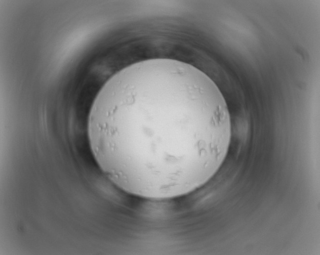 X0000114240526200910231526