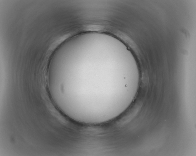 X0000114240529200910231526