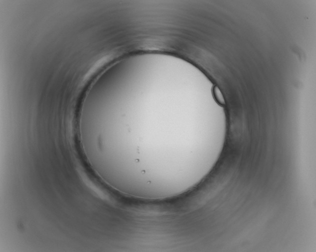 X0000114240530200910231526