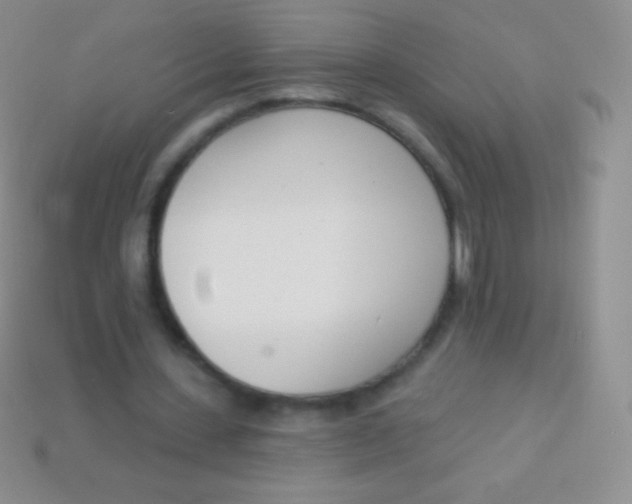X0000114240531200910231526