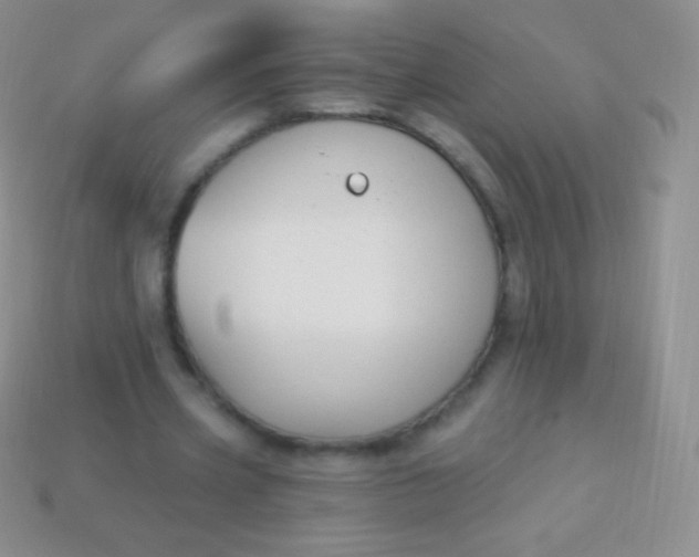 X0000114240533200910231526