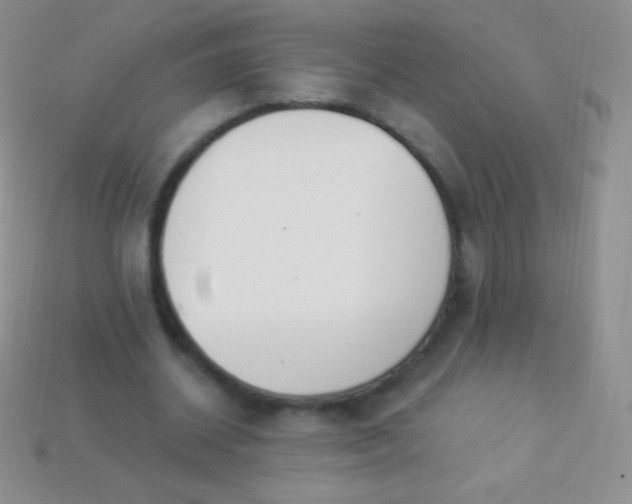 X0000114240534200910231526