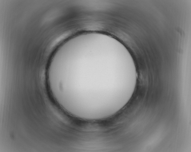X0000114240535200910231526