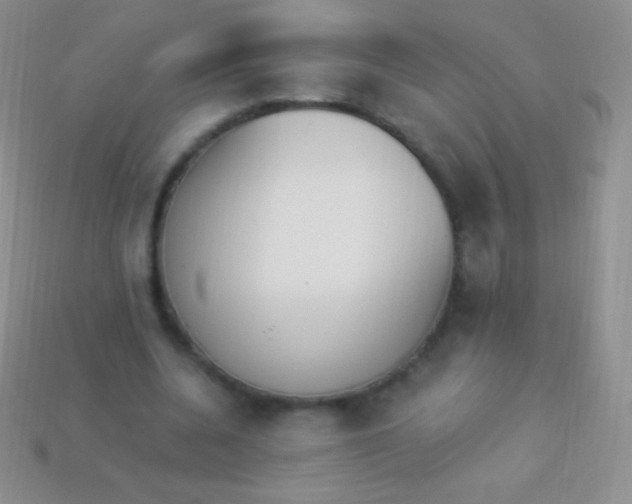 X0000114240536200910231526