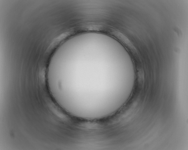 X0000114240537200910231526