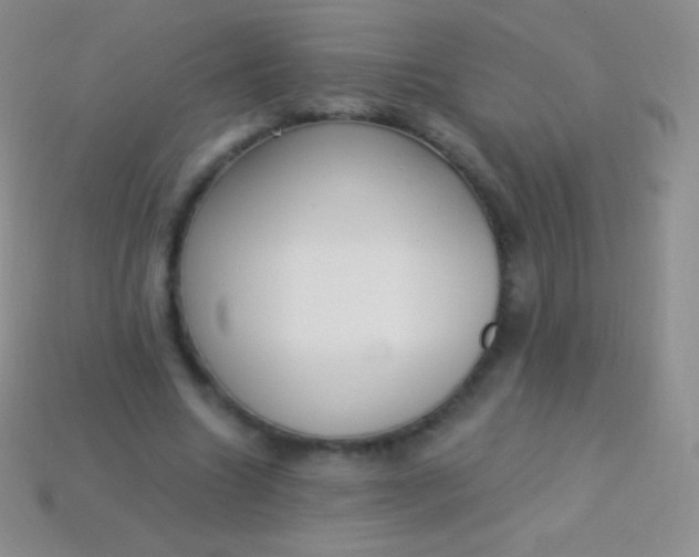 X0000114240538200910231526