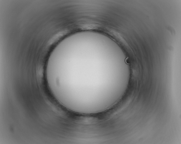 X0000114240539200910231526