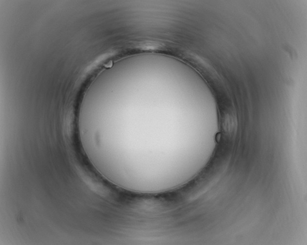 X0000114240540200910231526