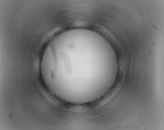 X0000114240542200910231526