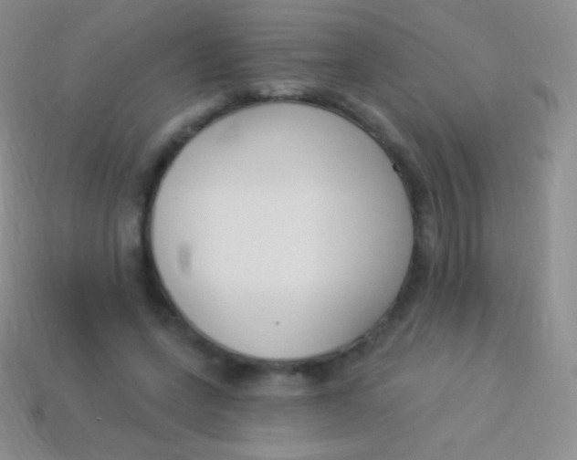 X0000114240543200910231526