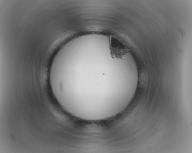 X0000114240544200910231526