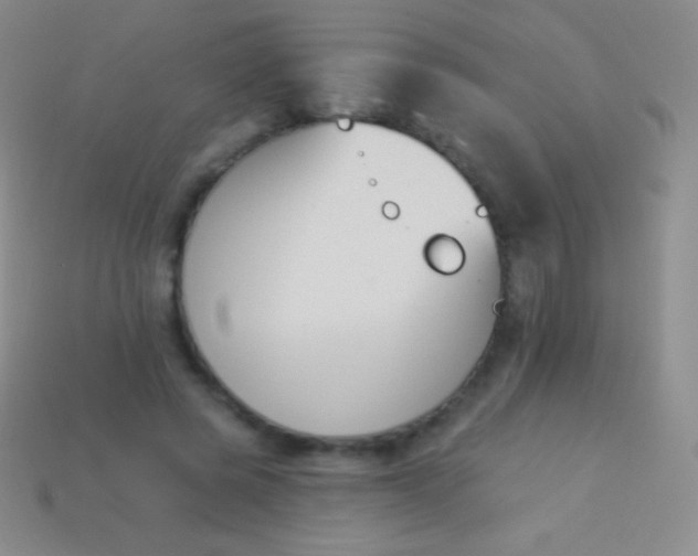 X0000114240545200910231526