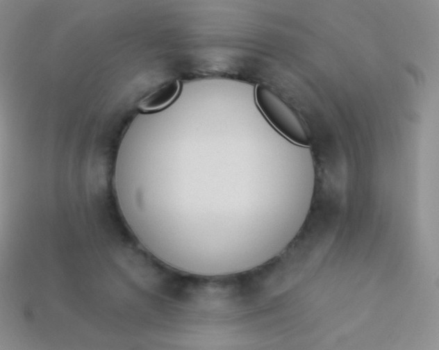 X0000114240546200910231526
