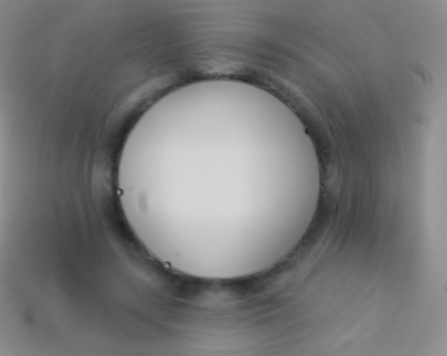 X0000114240547200910231526