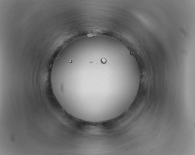 X0000114240548200910231526