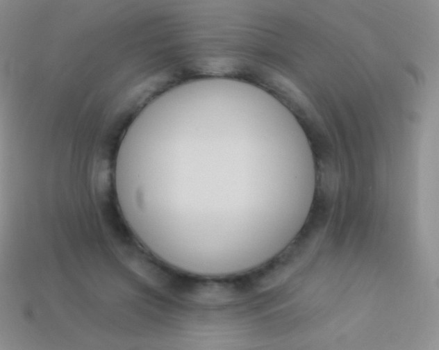 X0000114240549200910231526
