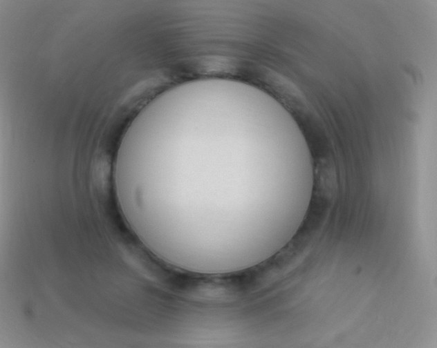 X0000114240550200910231526