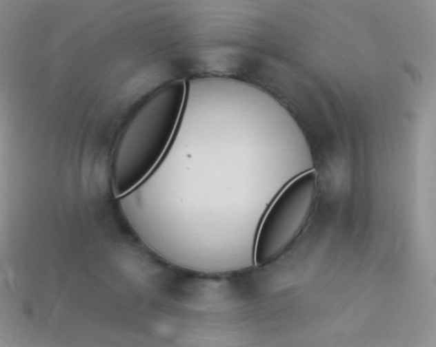 X0000114240552200910231526