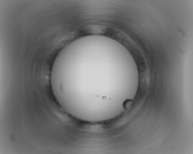 X0000114240553200910231526