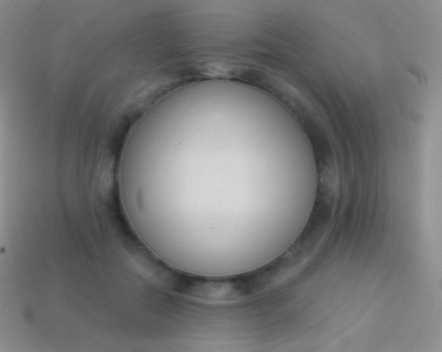 X0000114240554200910231526