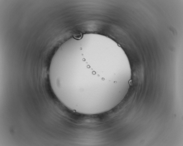 X0000114240555200910231526