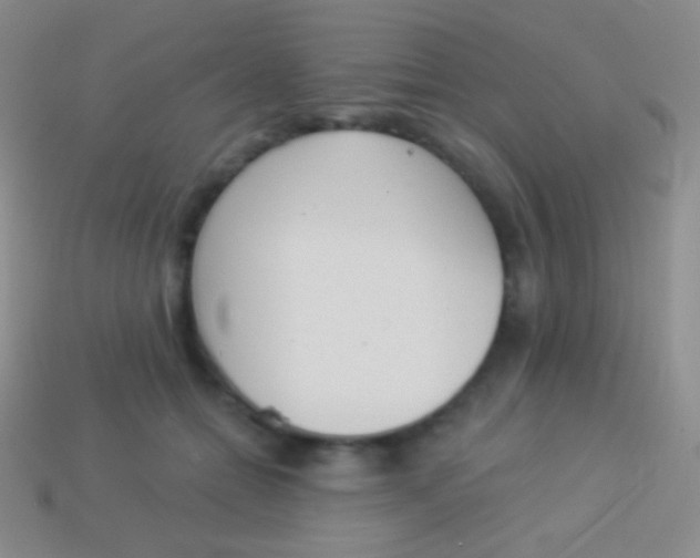 X0000114240558200910231526