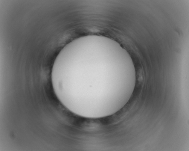 X0000114240559200910231526