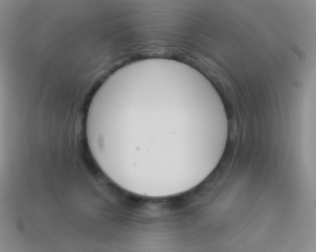 X0000114240560200910231526