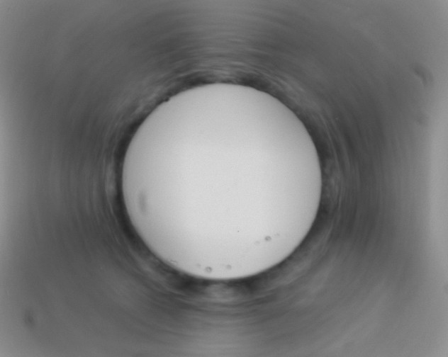X0000114240562200910231526