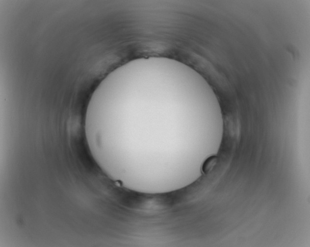 X0000114240564200910231526