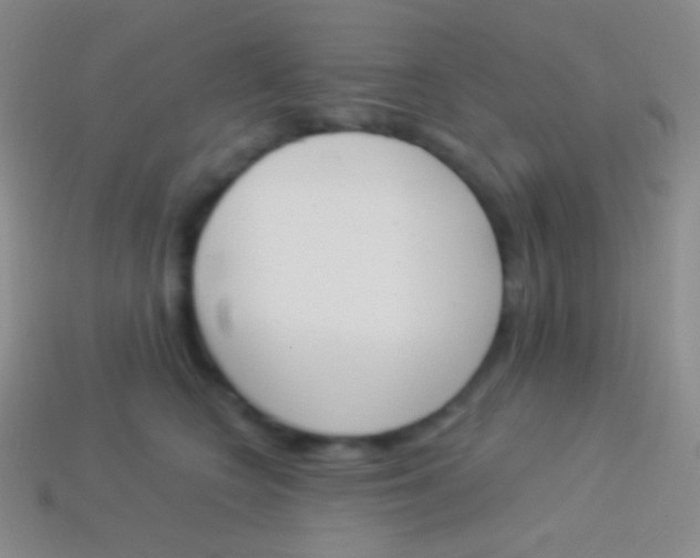 X0000114240566200910231526