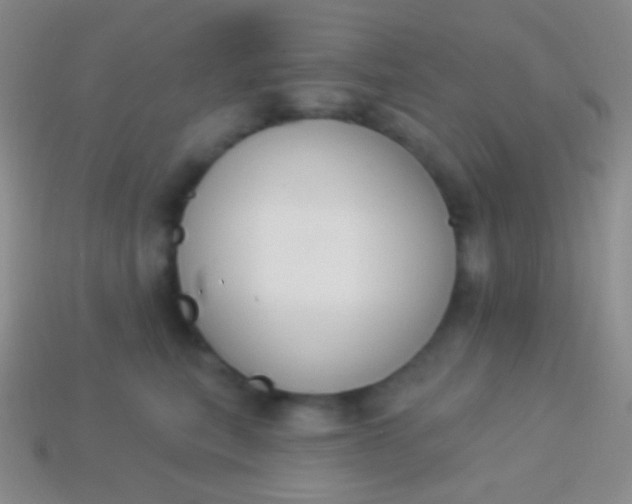 X0000114240567200910231526