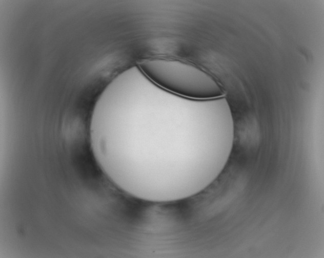 X0000114240568200910231526