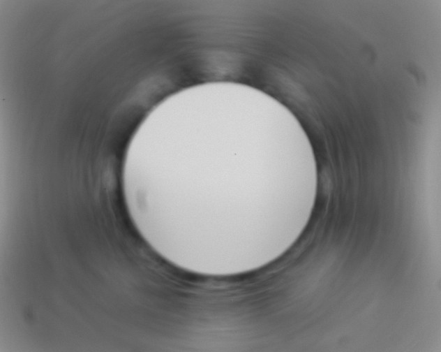 X0000114240570200910231526