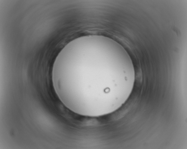 X0000114240572200910231526