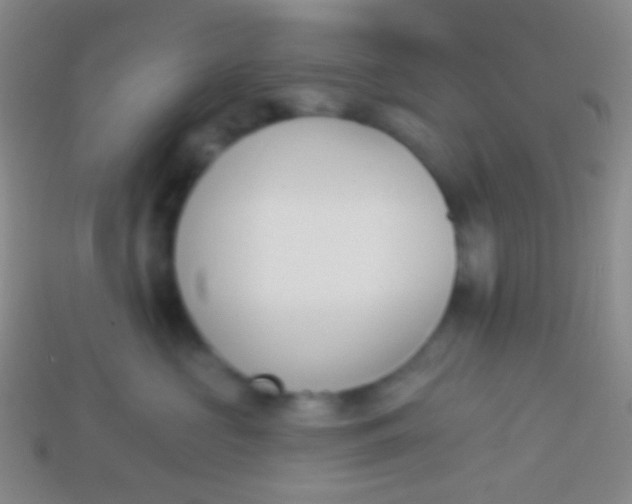 X0000114240573200910231526