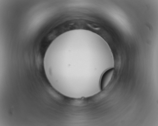 X0000114240574200910231526