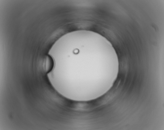 X0000114240575200910231526