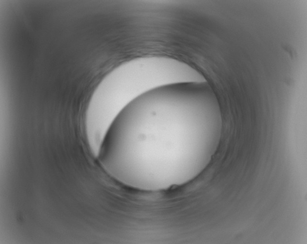 X0000114240576200910231526
