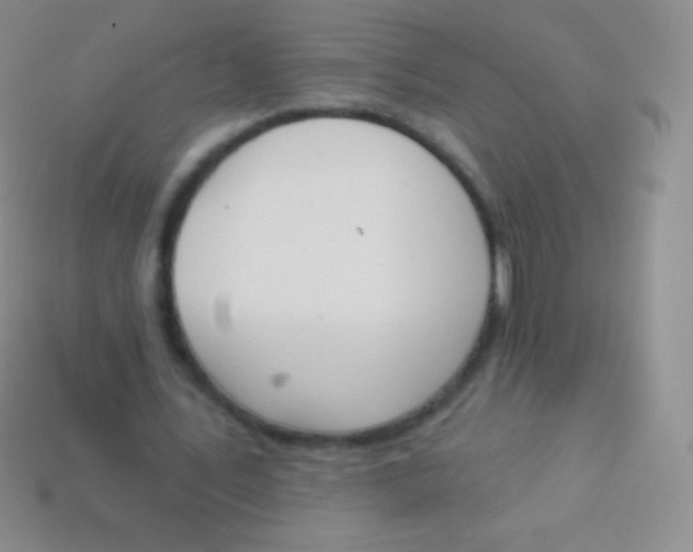 X0000114240579200910231526