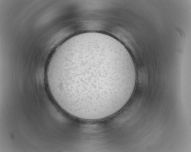 X0000114240581200910231526