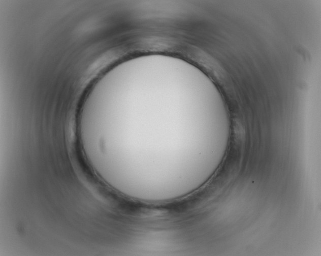 X0000114240582200910231526