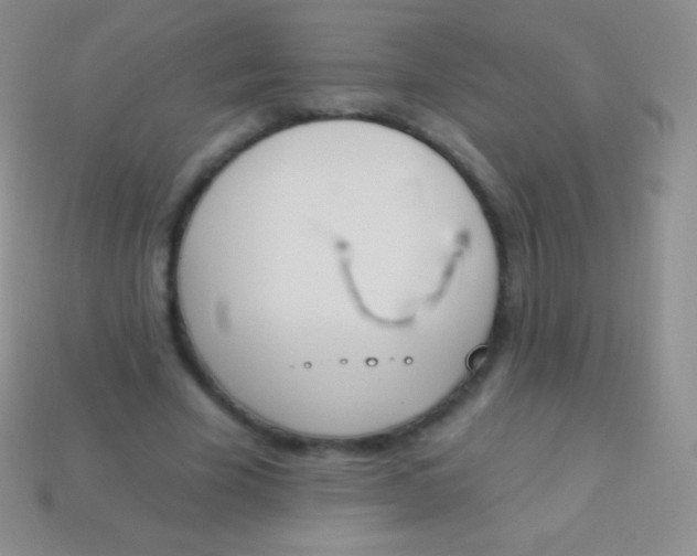X0000114240585200910231526