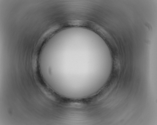 X0000114240586200910231526